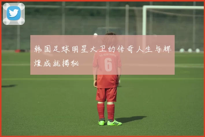 韩国足球明星大卫的传奇人生与辉煌成就揭秘