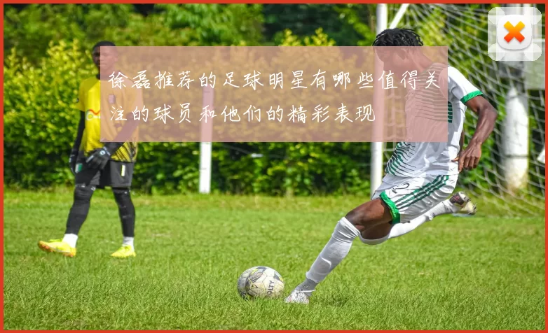 徐磊推荐的足球明星有哪些值得关注的球员和他们的精彩表现