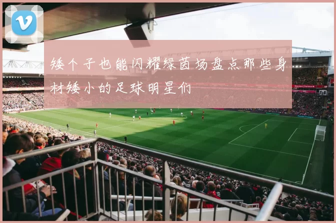 矮个子也能闪耀绿茵场盘点那些身材矮小的足球明星们